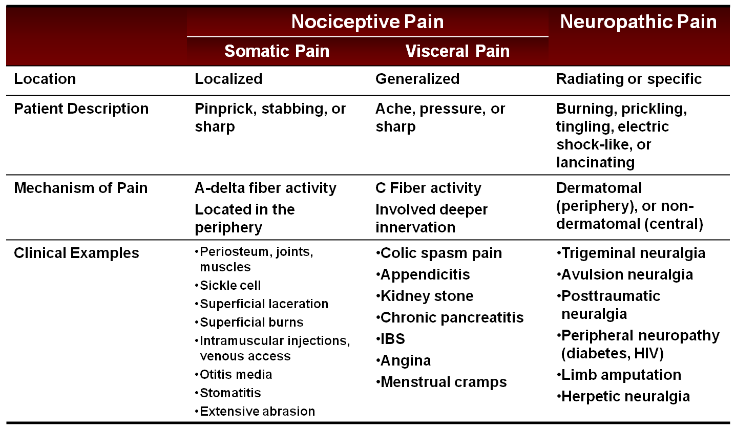 Visceral Somatic Chart